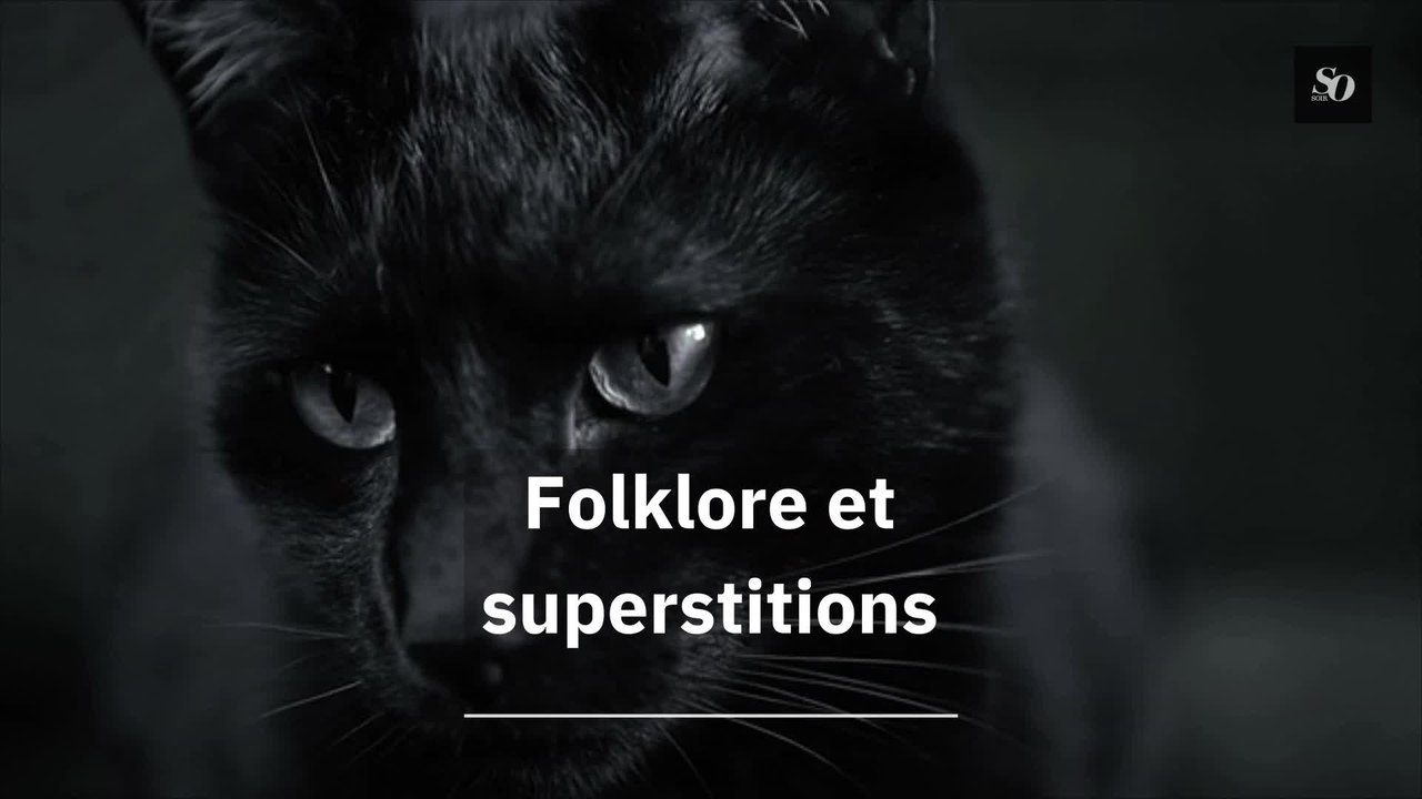 Folklore et superstitions du chat noir : explications