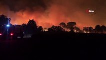 Fransa'nın güneyinde orman yangını