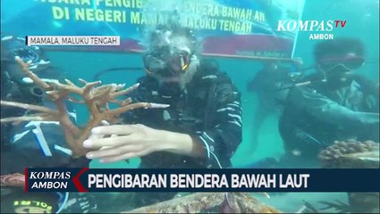 Pengibaran Bendera Bawah Laut Maluku