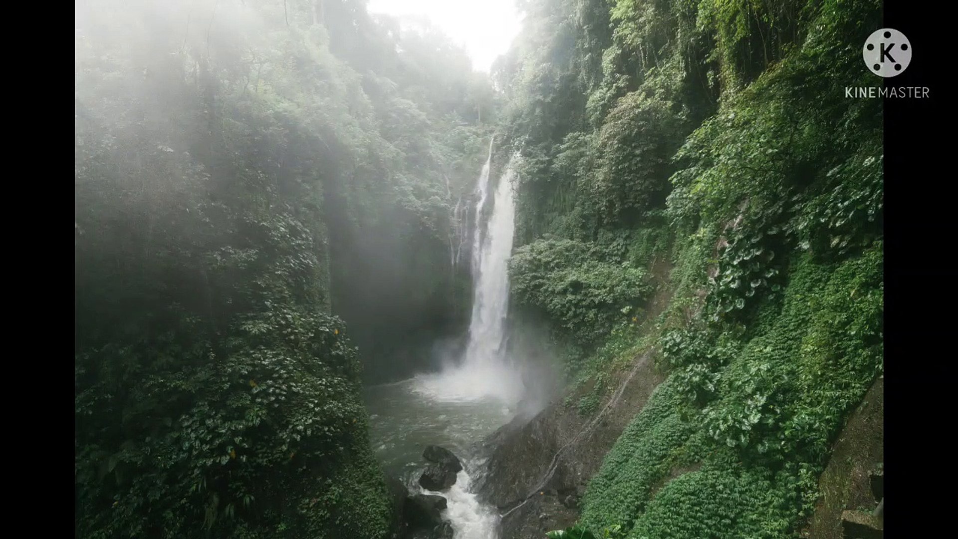 ⁣##Natural Photos With Birds Sound | #Rehoboth Fun