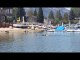 Bear Swims Across Lake Tahoe With Cubs in Tow