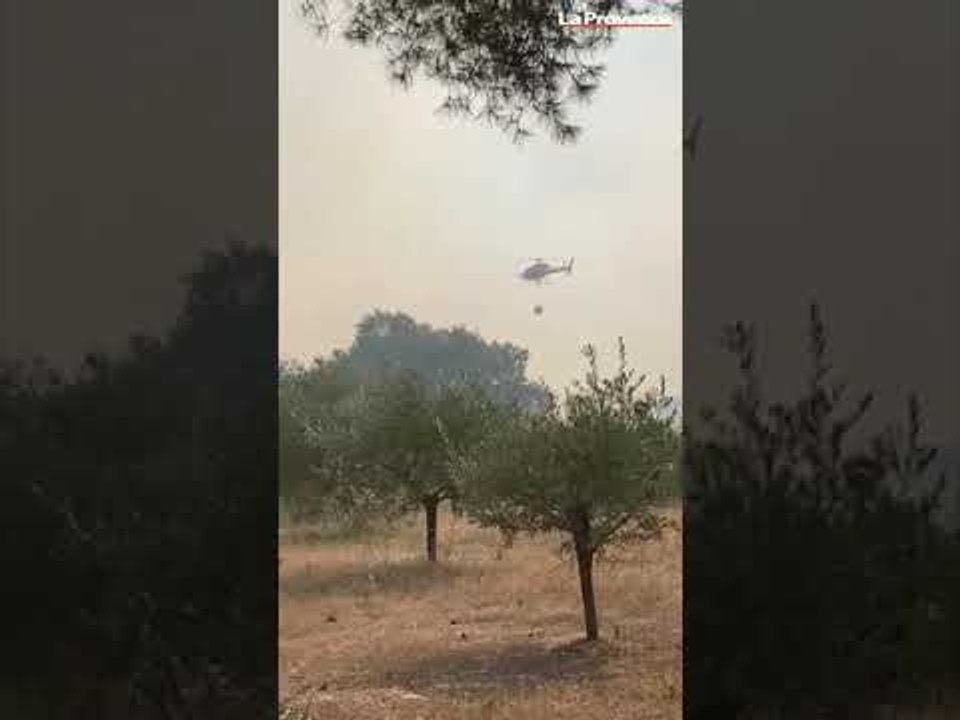 Vaucluse : 250 hectares brûlés à Beaumes-de-Venise