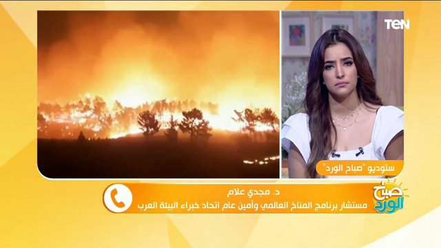 ما الذي نستطيع فعله للمساعدة في إبطاء ظاهرة التغيّر المناخي؟ د مجدي علام يجيب