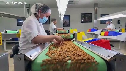 California: la siccità fa strage di mandorli. Colpo all'economia del Paese