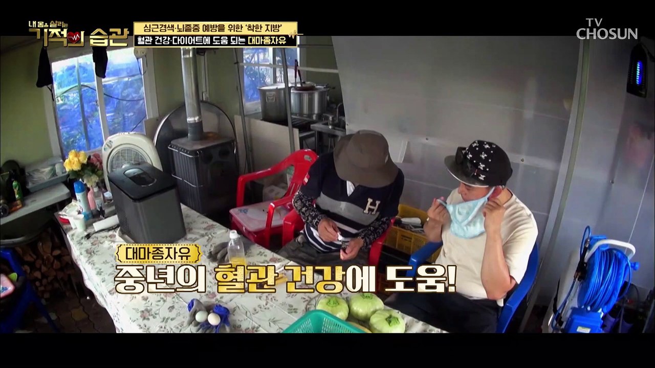1석2조★ 혈관 건강+비만 등 중년건강에 도움 주는 비법 大공개 TV CHOSUN 2...