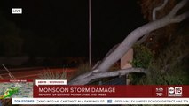 Monsoon storm brings downed trees, power outages