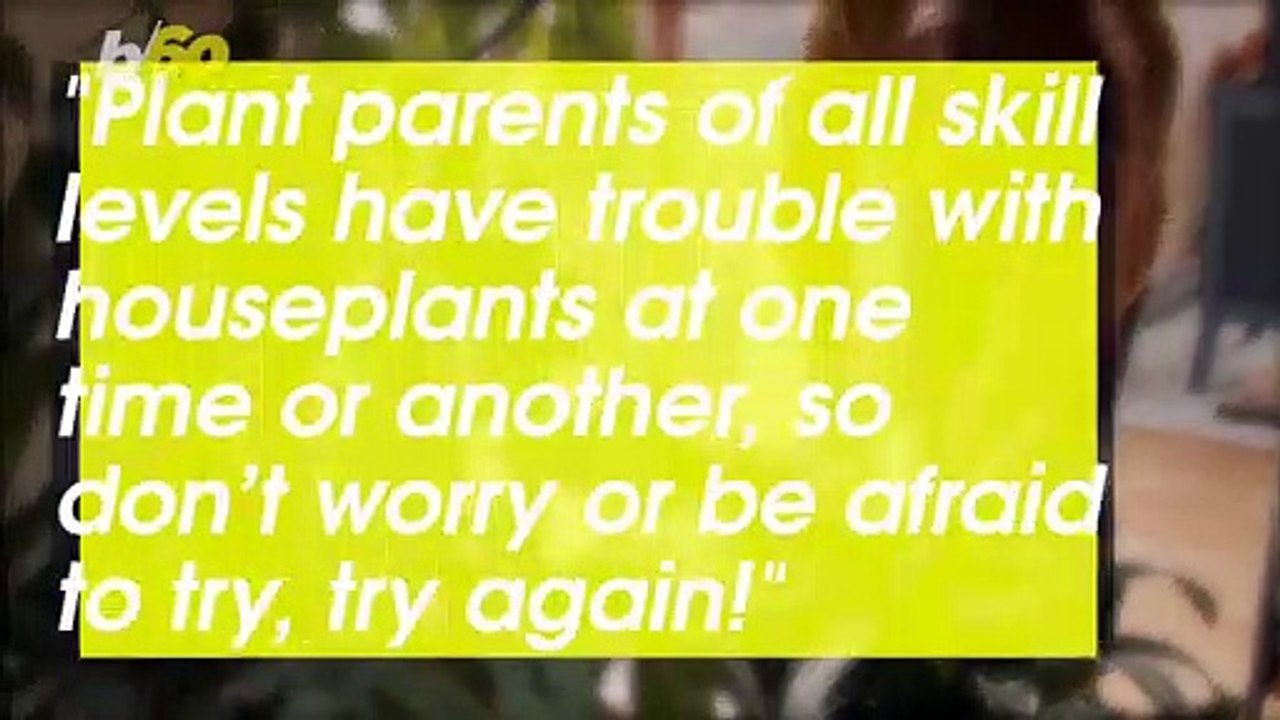 The Best Tips for New Plant Parents