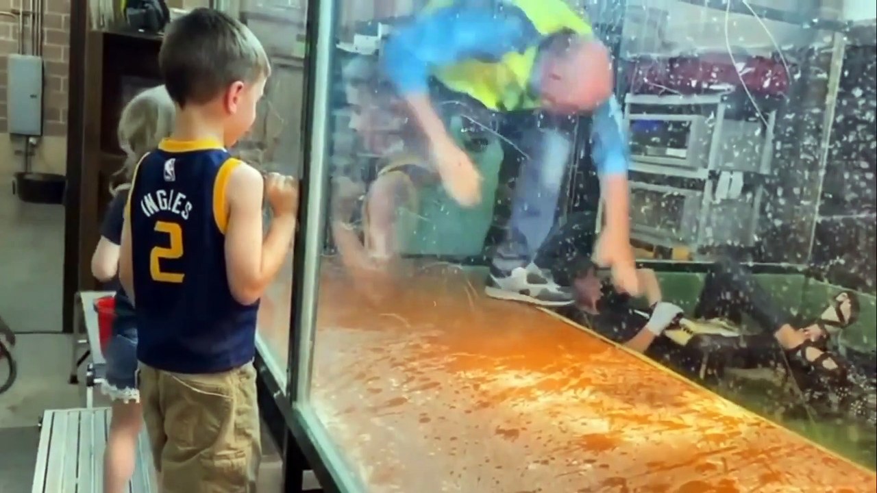 Un alligator croque le bras d'une soigneuse lors d'un spectacle