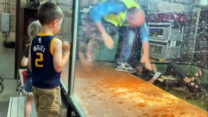 Un alligator croque le bras d'une soigneuse lors d'un spectacle