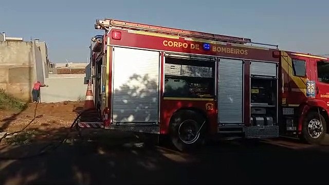Bombeiros são acionados para resgatar cãozinho preso em tubulação, no Jardim Modelo