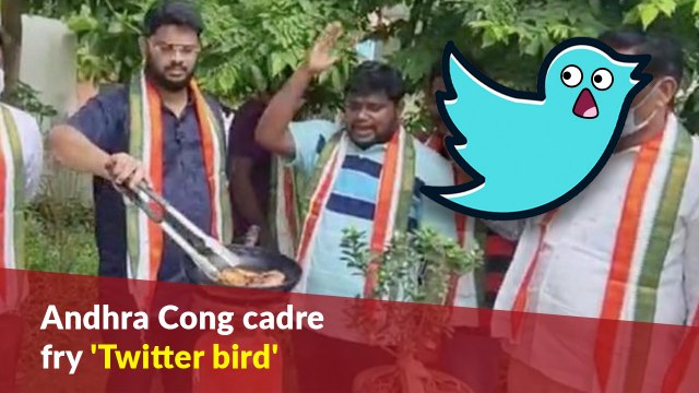 Andhra Cong cadre fry 'Twitter bird' to protest action against Rahul Gandhi
