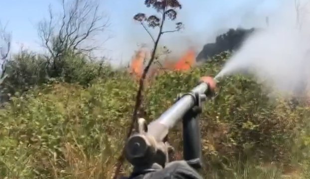 Incendi nel Messinese, spenti 37 roghi in 24 ore (17.08.21)