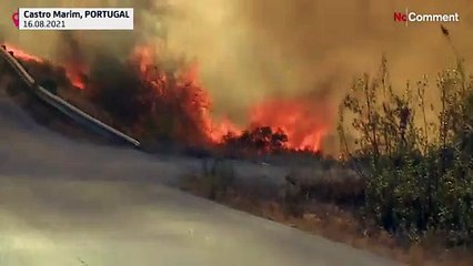 Incêndio florestal no sul de Portugal ameaça população