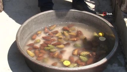 Yaşlı kadından duydu kendi markasını kurdu