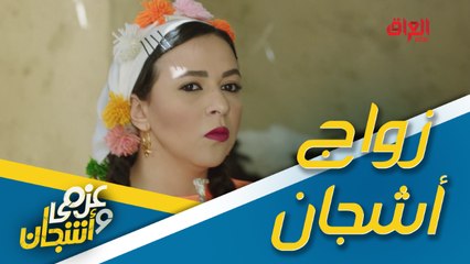 أشجان تريد تعوف زوجها علمود تتزوج العمدة