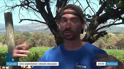 Incendie dans le Var : élan de générosité envers un vigneron qui a tout perdu