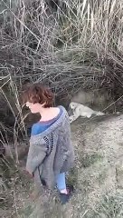 Rescatan a un perro que enterraron vivo y abandonaron