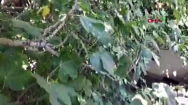İş makinesinin önüne geçip, tarihi 3 binanın yıkılmasına engel oldu