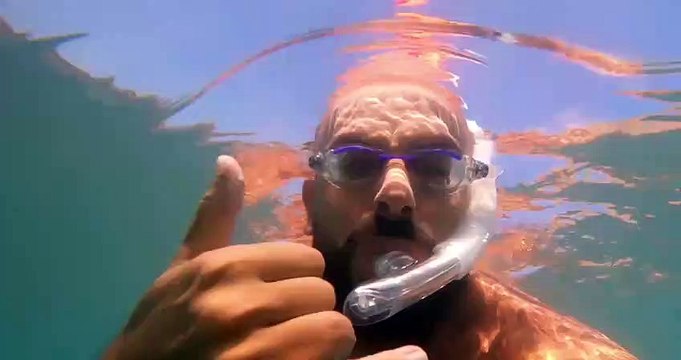 Bagno con la foca monaca nelle acque della Grecia: l'indimenticabile avventura di un turista romano