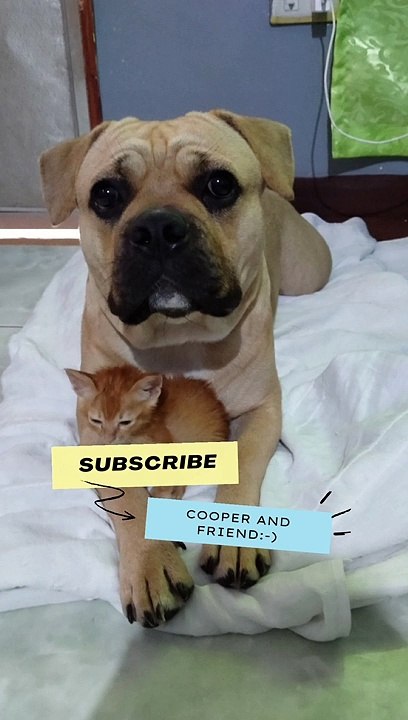 cooper and friend