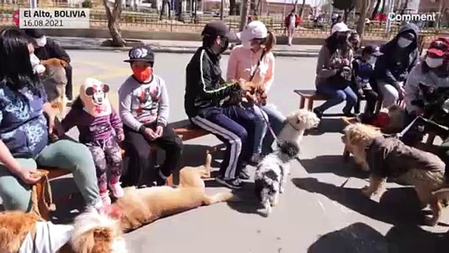 Bolivie : El Alto célèbre une messe en l'honneur de saint Roch, le saint patron des chiens