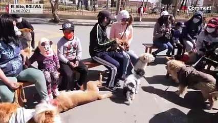 Bolivie : El Alto célèbre une messe en l'honneur de saint Roch, le saint patron des chiens