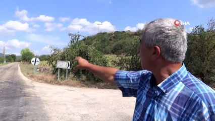 Yola kontrolsüz çıkan araca yapmamak için tarlaya girdi, ağaca çarparak durabildi