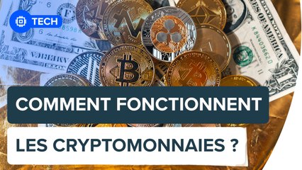 Qu'est-ce qu'une cryptomonnaie ? | Futura