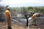 Orhangazi'de ormanlık alana yakın bölgede çıkan yangın söndürüldü