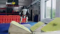Go Bot Go! Boston Dynamics Shows Footage of Its Robot Performing Parkour!
