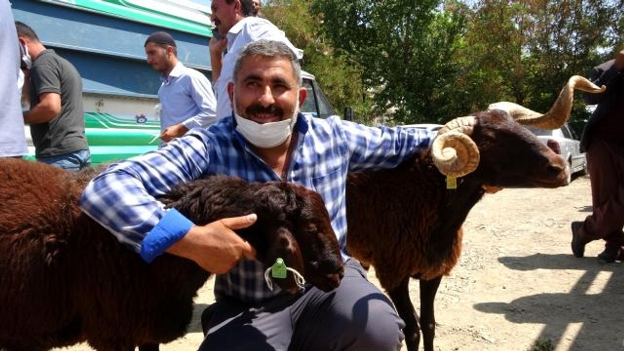 Muş'ta çiftçilere devlet destekli koç dağıtımı yapıldı