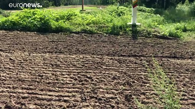 Меркель: Лукашенко использует мигрантов, чтобы подорвать безопасность в Европе