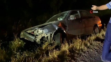 Köpeğe çarpmamak için manevra yaptı, şarampole devrildi