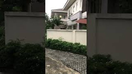 Spring-Loaded Pup Jumps to Say Hello