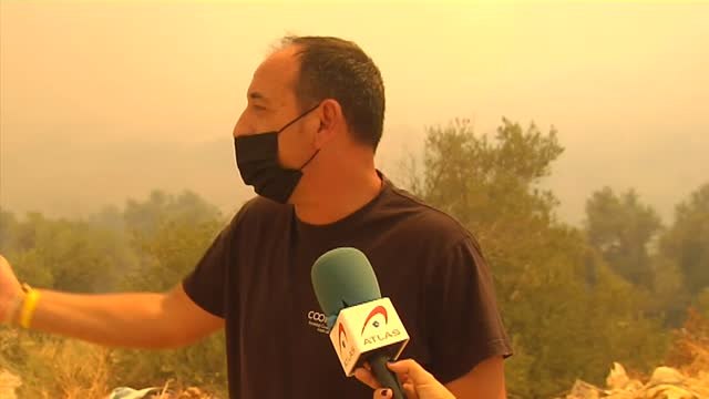 El incendio de Lucena del Puerto, en Huelva, ha puesto en nivel 1 de alerta al pueblo