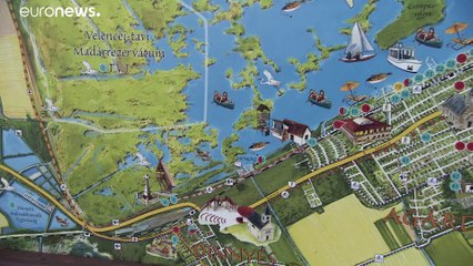 Венгерское озеро изнывает от жары