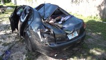 Man survives tree crushing his car as Fred makes landfall