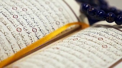 10 Muharram Status- Muharram Status 2021-Saqib Raza Mustafai