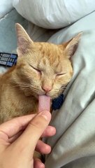 are you going to like this video