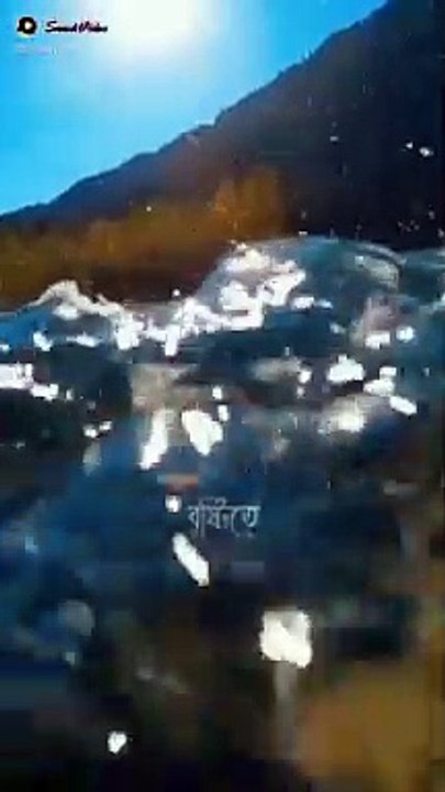 5231643918676833338_play.mp4_logo_US