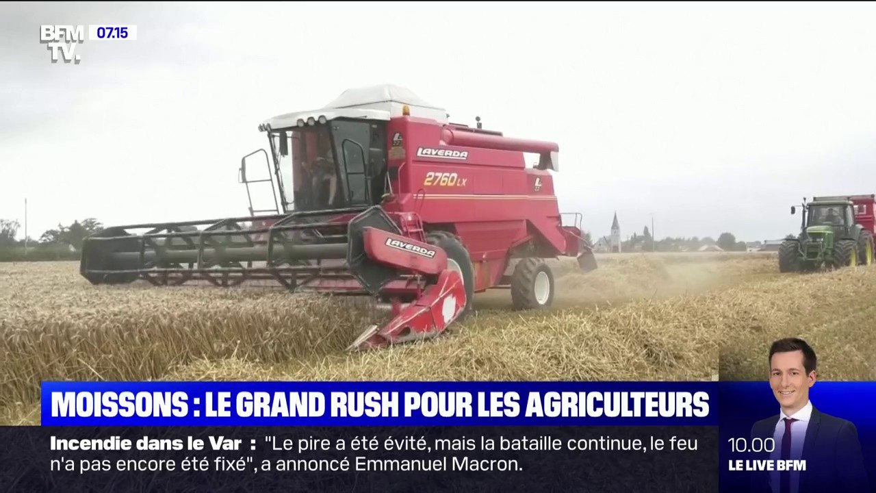 Les moissons ont commencé avec un mois de retard à cause des intempéries