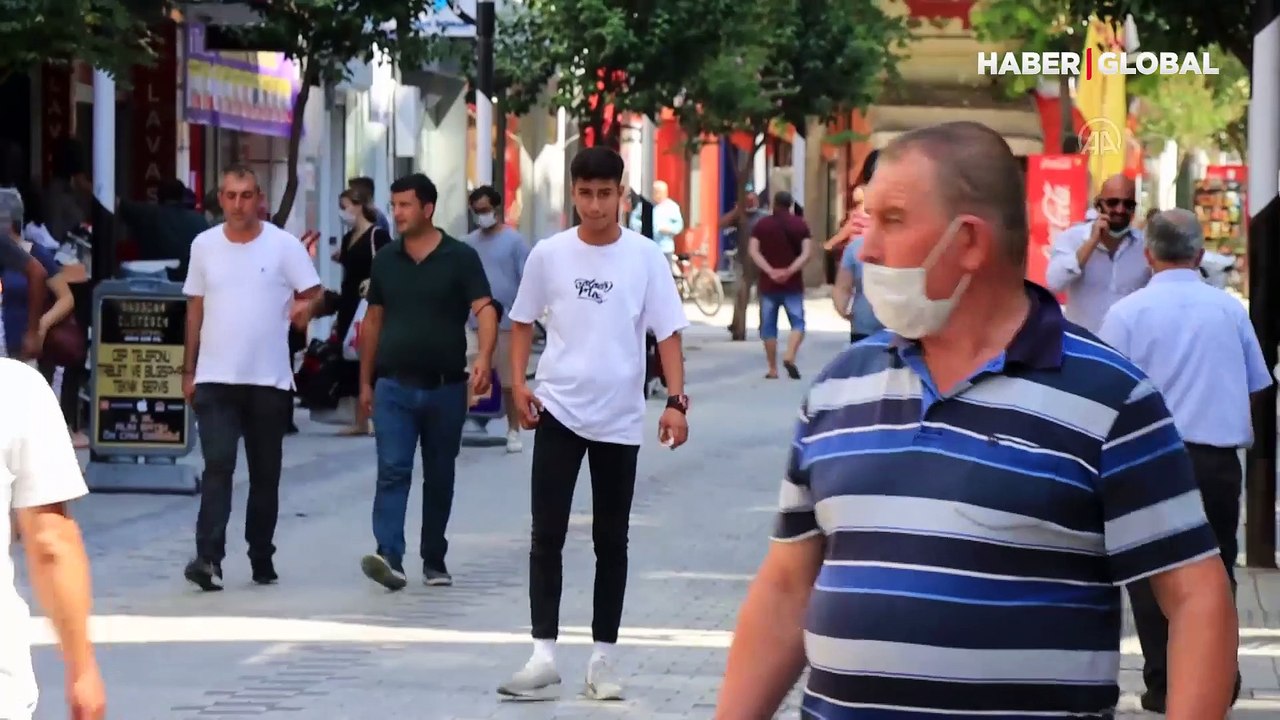 Dantel böceği üç şehri istila etti: 9 hafta yaşıyor, zararı çok büyük!