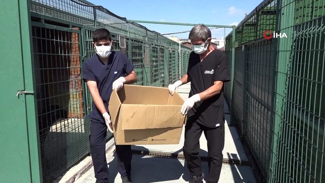 - Yaralı leyleklere Esenyurt Belediyesi sahip çıktı