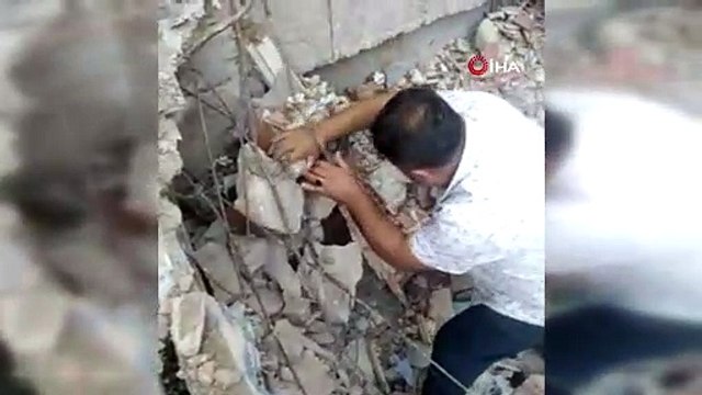 Molozların altında kalan yavru kediler böyle kurtarıldı