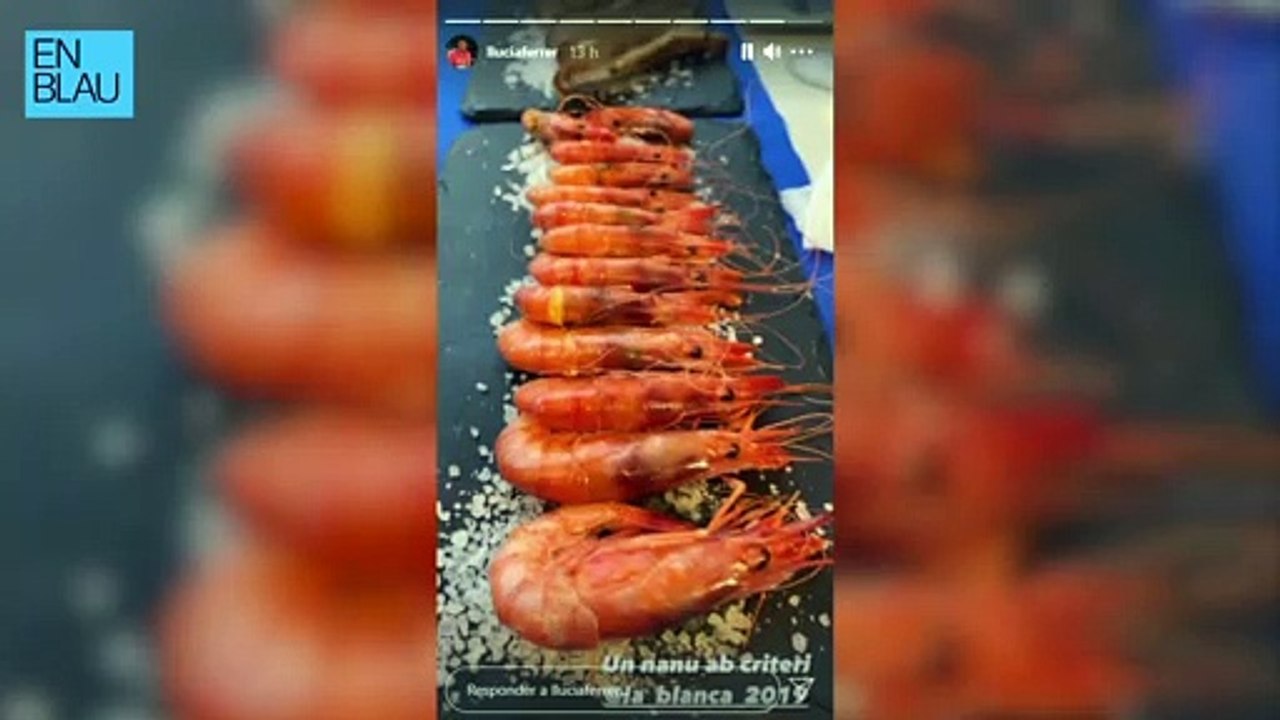 Llucià Ferrer gambes