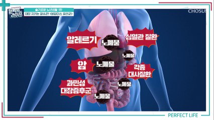 ❛이것❜으로 면역력 강화하고 장 건강 사수하자-★ TV CHOSUN 20210818 방송