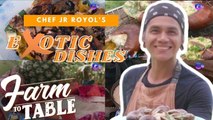 Farm To Table:  Exotic food adventure with Chef JR Royol? GAME!