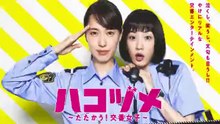 テレビ 動画