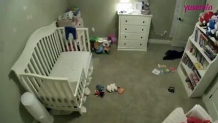 Köpeğin o odaya girmesi yasaktı! Bakın nasıl bir yöntem buldu...