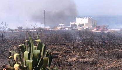 Incendi nel Palermitano, fiamme minacciano case ad Altavilla Milicia (18.08.21)